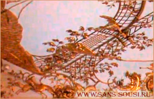  .  -. ,  / www.sans-souci.ru